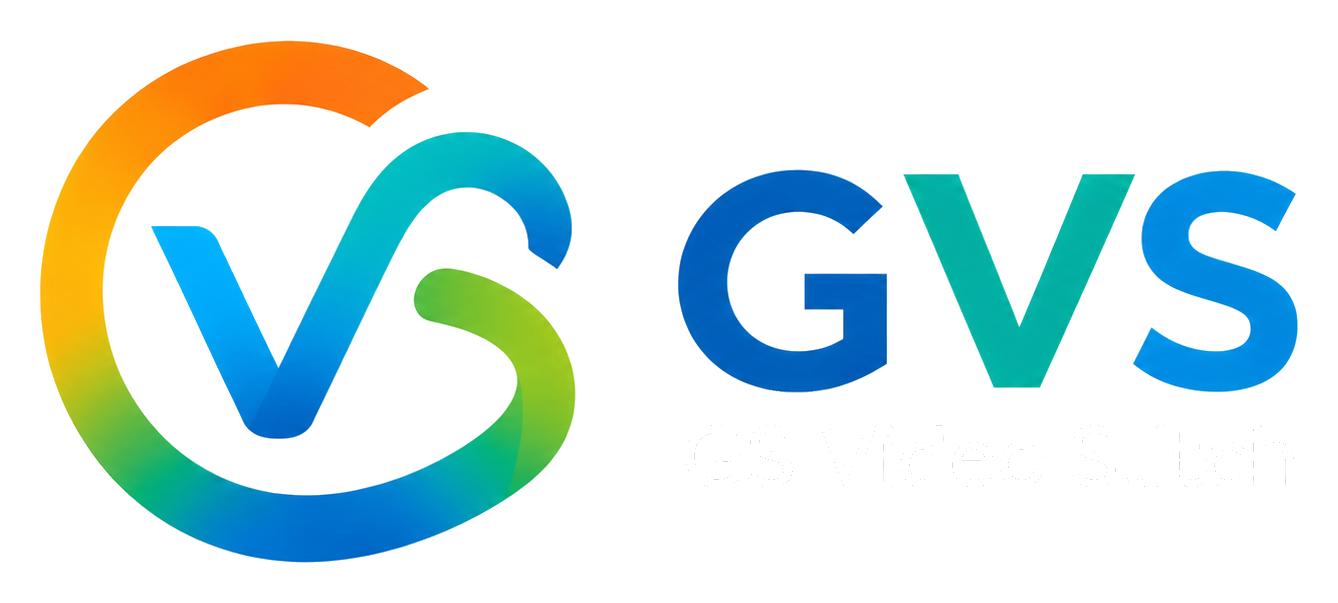 GVS GS Video Stitch