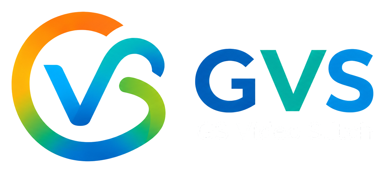 GVS GS Video Stitch